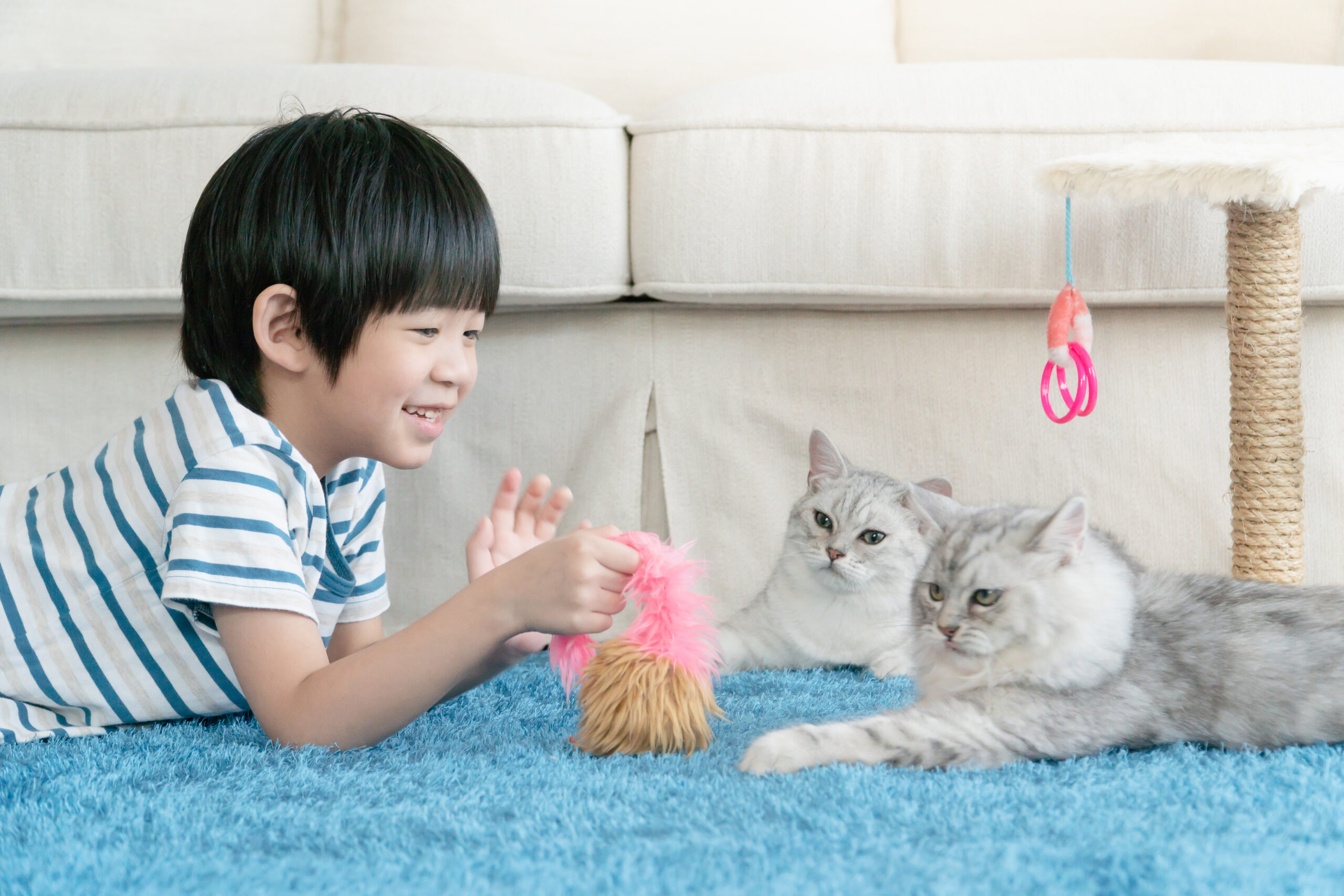 子どもやペットがいる家庭でも相談しやすいカビ除去施工のイメージ