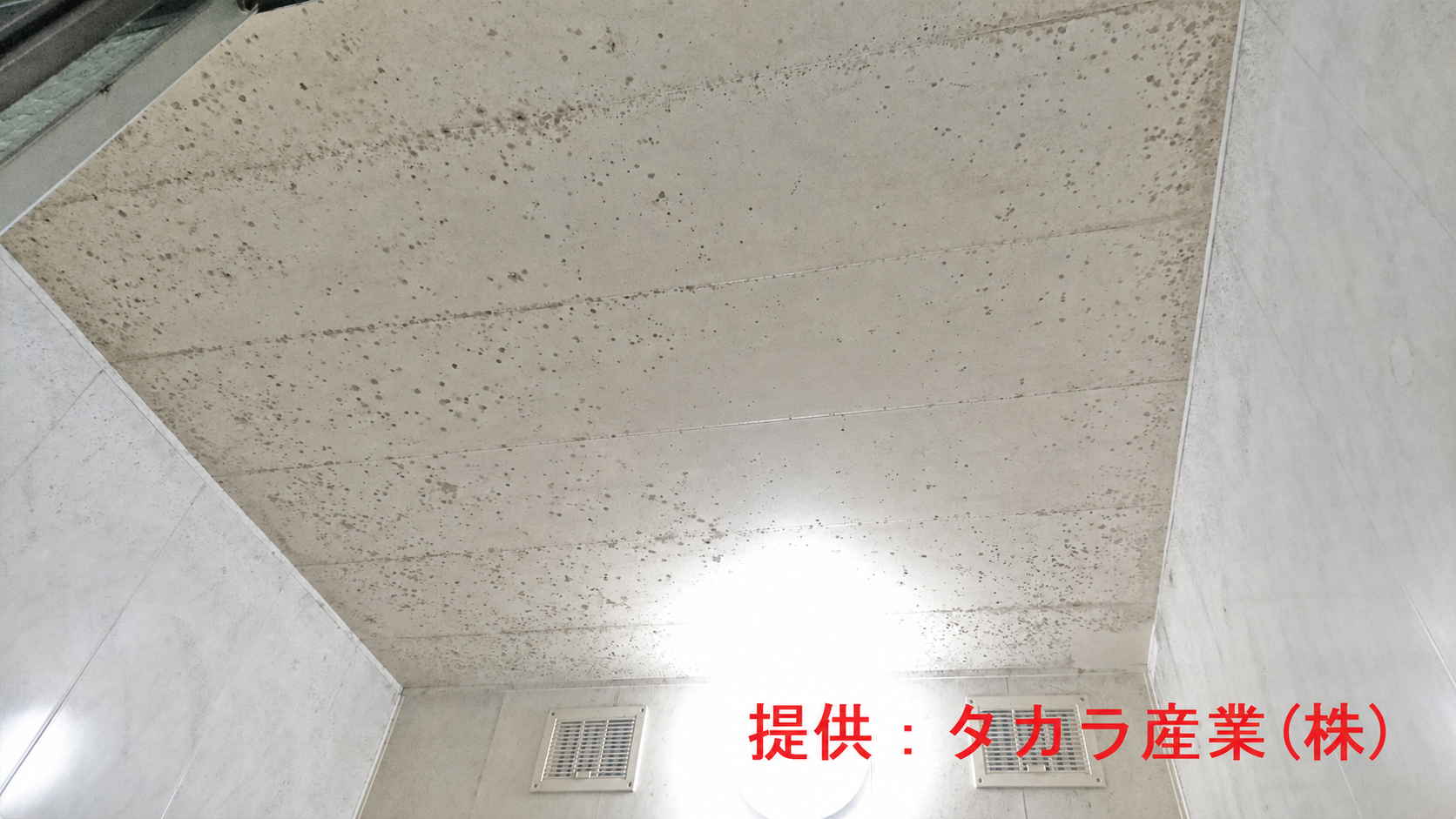 室内や収納まわりのカビ